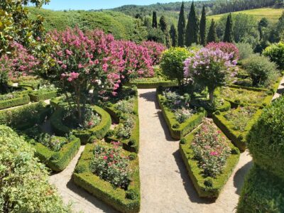 Jardinería Básica